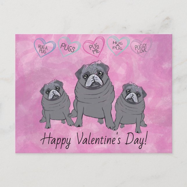 Funny Pug Valentine Postcard (Front)