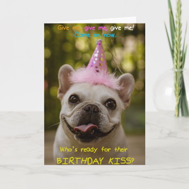 Funny Pug With Party Hat Birthday Greeting Card  (Front)