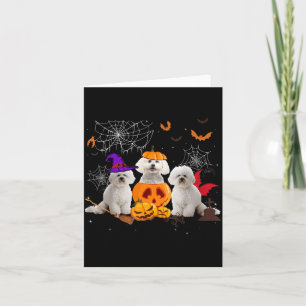 Funny Pumpkin Witch Bichon Frise Dog Halloween Card