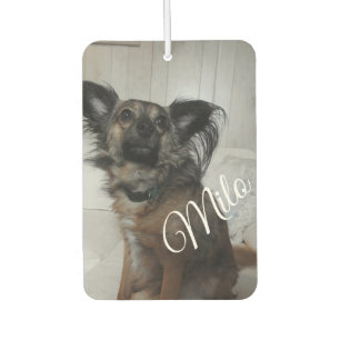 Funny Puppy Dog Pet Photo Personalised Car Air Freshener