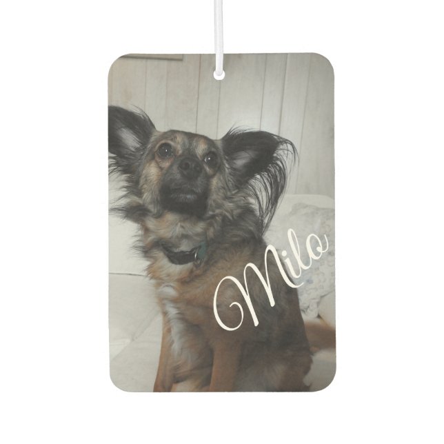 Funny Puppy Dog Pet Photo Personalised Car Air Freshener (Front)