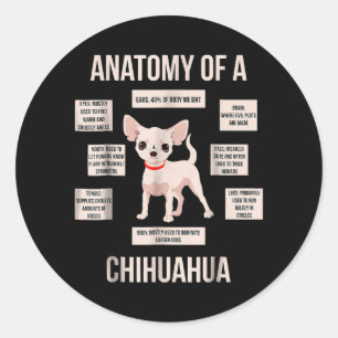 Funny Puppy Gift Anatomy Of A Chihuahua Classic Round Sticker
