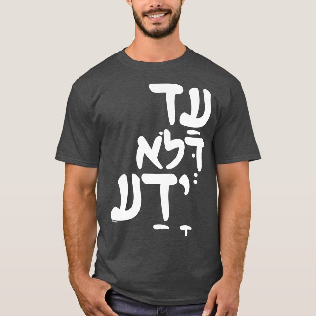 Funny Purim Hebrew Saying Jewish Quote T-Shirt (Front)