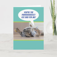 Funny Purrfect Cat Dad From A Cat On Father's Day