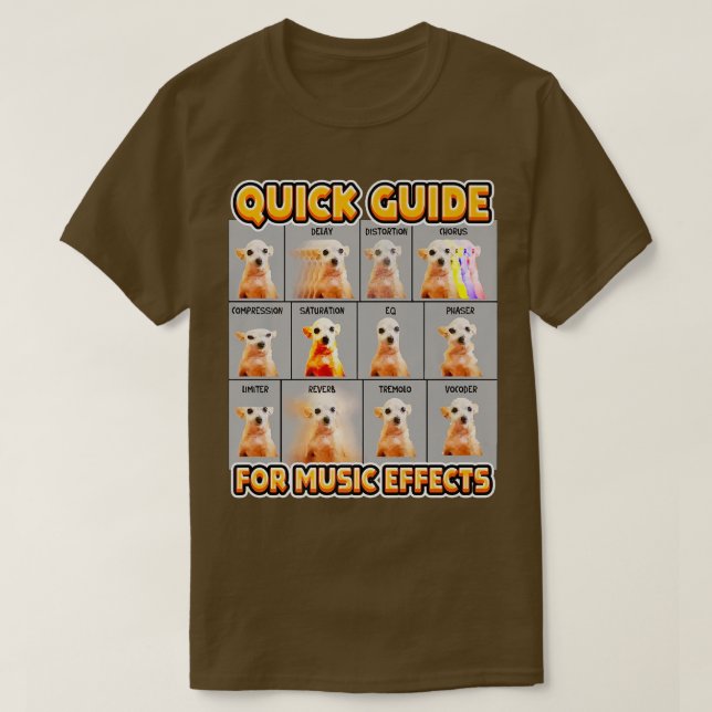 Funny Quick Guide For Music Effects Musican Chihua T-Shirt (Design Front)
