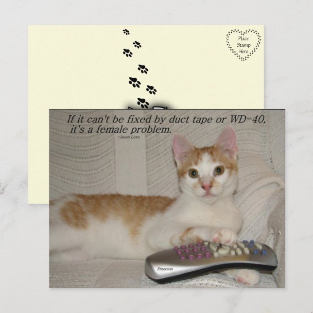Funny Quote Cat Postcard  (Front/Back)