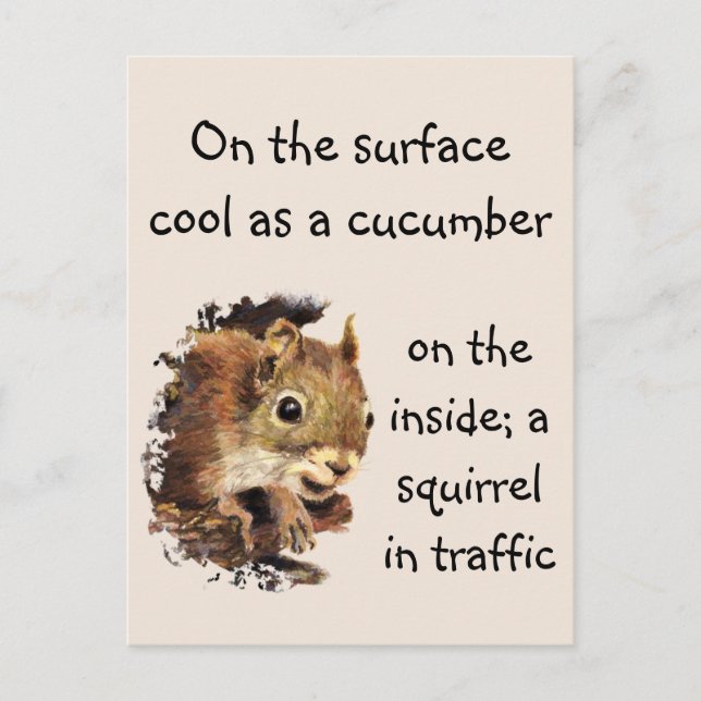 Funny Quote Surface Cool Inside Squirrel  Postcard (Front)