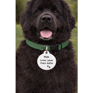 Funny Quote with Phone Number | Custom Name Pet Tag