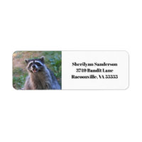 Funny Racoon Photograph