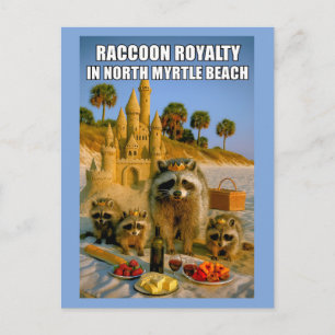 Funny Racoon Royalty in North Myrtle Beach Postcard