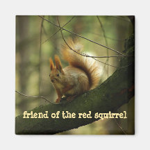 Funny Rad Squirrel/Friend of the Red Squirrel