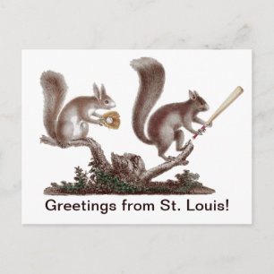 Funny Rally Squirrel Greetings from St. Louis! Postcard