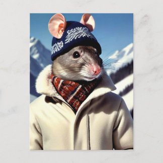 Funny Rat Modelling Ski Wear Postcard