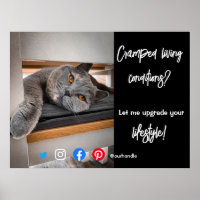funny real estate postcard cramped living cats