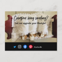 funny real estate postcard cramped living dog