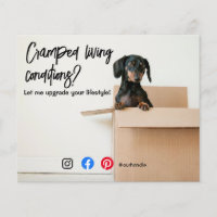 funny real estate postcard cramped living dog flye