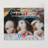 funny real estate postcard cramped living dog