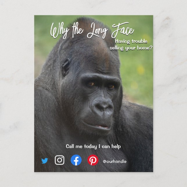 funny real estate postcard long face ape (Front)