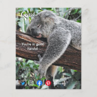 funny real estate postcard relaxed koala