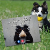 funny real estate sniff out your next home dog