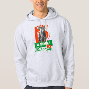 Funny Recharging Koala Introvert Mood Hoodie