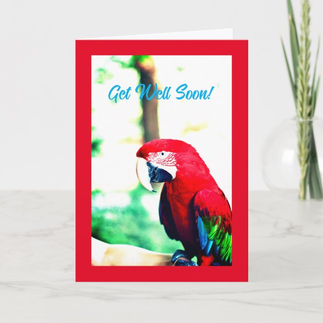 Funny Red Parrot Get Well Card (Front)