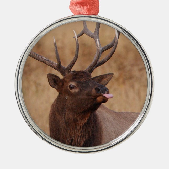 funny reindeer metal tree decoration (Front)