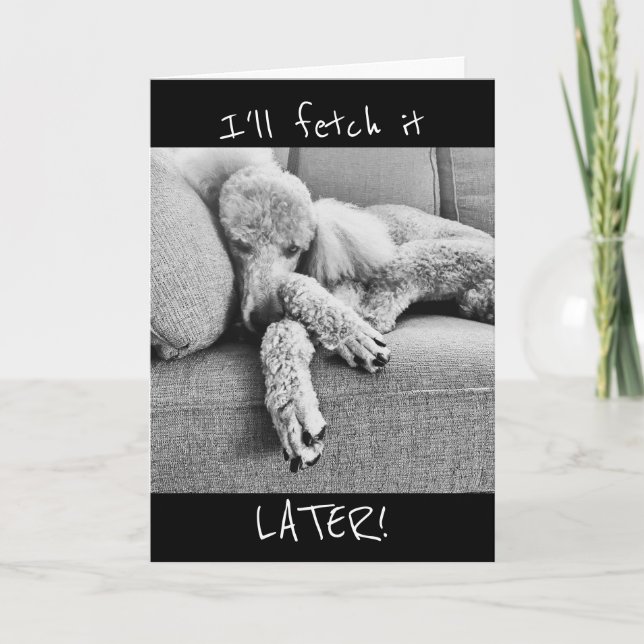 Funny Retirement Announcement with Tired Poodle (Front)