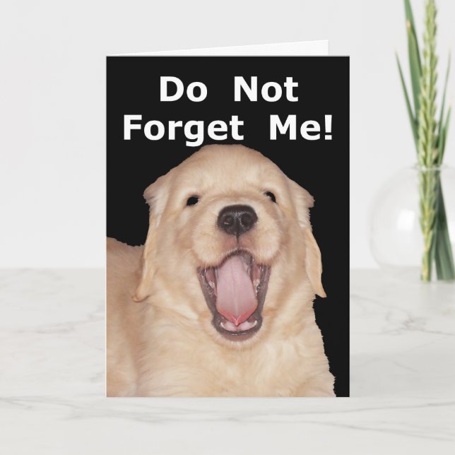 Funny Retirement Congratulations Greeting Card (Front)