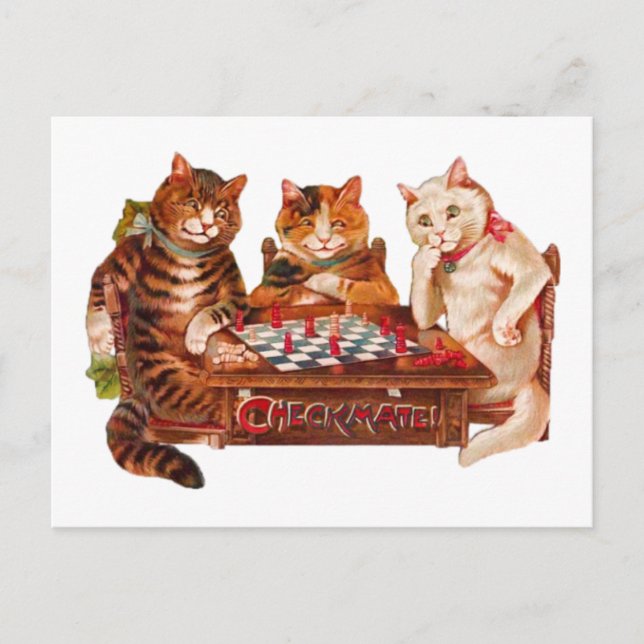 Funny Retro Cats Checkmate Playing Chess 1903 Postcard (Front)