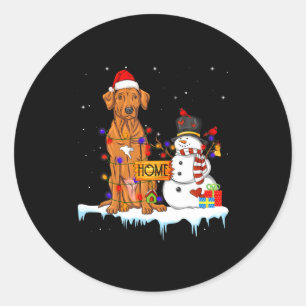 Funny Rhodesian Ridgeback Dog Christmas Snowman Xm Classic Round Sticker