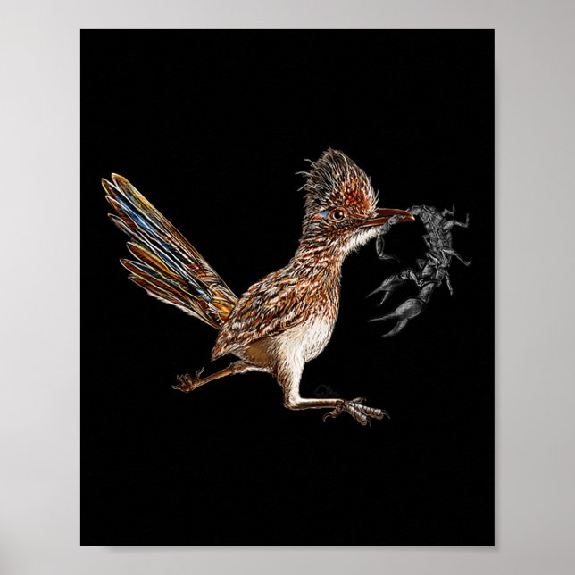Funny Roadrunner Scorpion Road Runner Bird Hunter  Poster (Front)