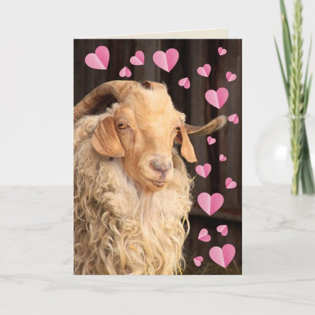 Funny Romantic Goat Valentine's Day Holiday Card (Front)