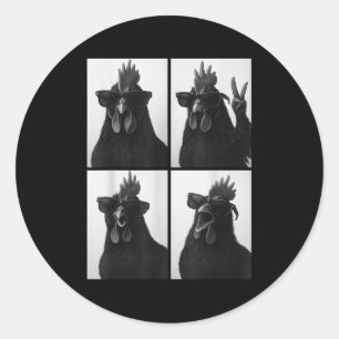 Funny Rooster With Sungles Photobooth Selfie Farm  Classic Round Sticker
