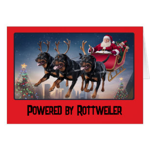 Funny Rottweiler Dog Christmas