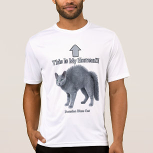 Funny Russian Blue Cat – This Is My Human T-Shirt