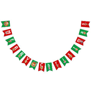 Funny Safari animals Lion Santa Christmas Costume Bunting