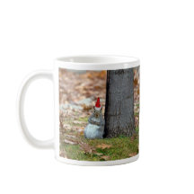 Funny Santa Claus Squirrel