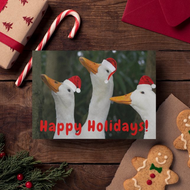 Funny Santa Ducks Funny Christmas Card (In Situ)