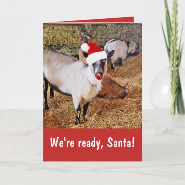 Funny Santa's Goats Christmas Card (Front)