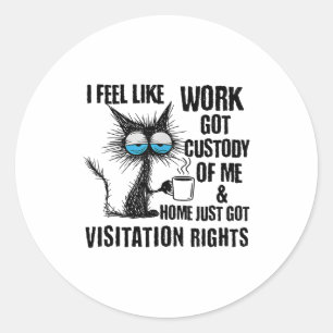 Funny Sarcastic Cat I Feel Like Work Got Custody O Classic Round Sticker