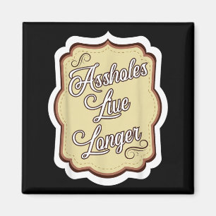 Funny Sarcastic Humour Sarcasm Quote Holes Live Magnet