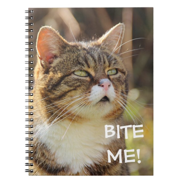 Funny Sassy Cat with Attitude Bite Me Notebook (Front)