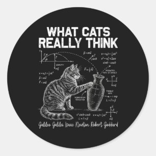 Funny Science Cat Physics Teacher What Cats Really Classic Round Sticker