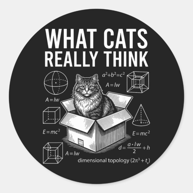 Funny Science Physics Cat in Box What Cats Think Classic Round Sticker (Front)