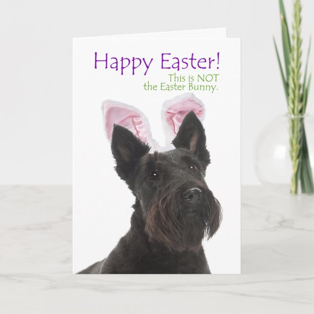 Funny Scottie Easter Card (Front)
