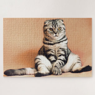 Funny Scottish Fold Cat Photo Jigsaw Puzzle