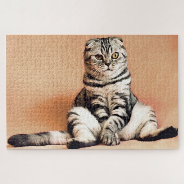 Funny Scottish Fold Cat Photo Jigsaw Puzzle (Horizontal)