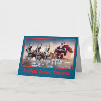 Funny Scottish Terrier Christmas Holiday