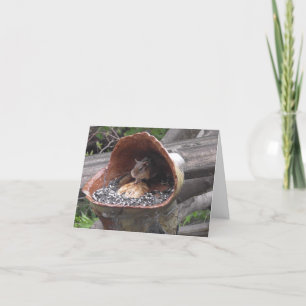 Funny Screw Dieting Chipmunk with Full Cheeks Card
